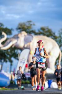 BIB: 
                            <button type="button" onclick="openModal(26541196)" class="btn btn-primary btn-sm float-right btn-popup" data-toggle="modal" data-target=".modal-high-quality">
                        <i class="fas fa-shopping-cart"></i> Add to Cart
                    </button>
                                            <button type="button" onclick="isThisMe(26541196, true)" class="btn btn-success btn-sm float-right btn-popup btn-isme hidden" data-toggle="tooltip" data-placement="bottom" title="นี่คือรูปของคุณใช่ไหม คลิกที่นี่เพื่อเอาเข้าอัลบั้ม">
                        <i class="fas fa-plus"></i> Add to album
                    </button>
                    <button type="button" onclick="isThisMe(26541196, false)" class="btn btn-warning btn-sm float-right btn-popup btn-isnotme hidden">
                        <i class="fas fa-ban"></i> Remove from album
                    </button>